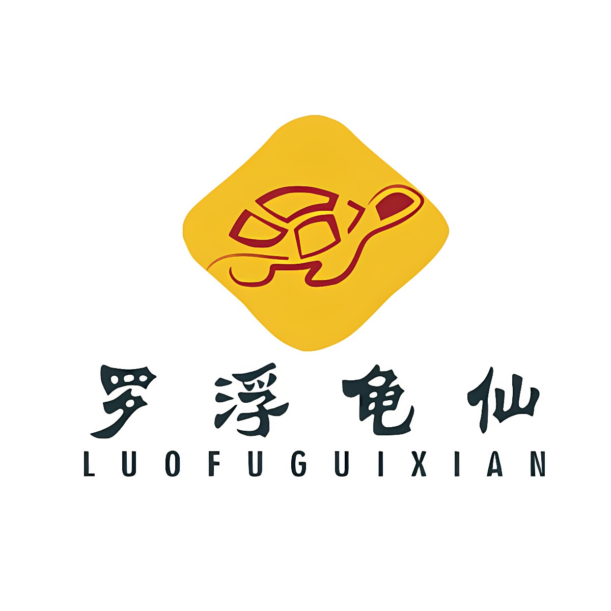 龟仙生源头工厂