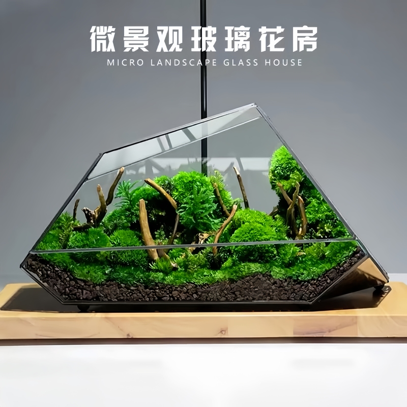 Moss Micro-Landscape Ecological Bottle Glass Flower House Rainforest Tank Desktop Landscaping Plant Flower Pot Indoor Interesting Ornament Moss Micro-Landscape Ecological Bottle Glass Flower House Rainforest Tank Desktop Landscaping Plant Flower Pot Indoor Interesting Ornament