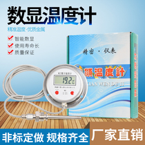 Digital display thermometer with probe WST DTM-491 high-precision thermometers industrial digital water temperature table