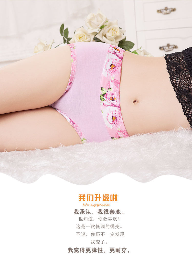 Slip jeunesse en coton - Ref 640937 Image 22