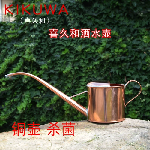 Япония Jinxijiu and Copper Pot Swear 1840 НАПРЕЖДЕНИЯ ПОРЯННЫЕ Бонсай Бонсай с медными чайниками Hiroshi и Bonsai Tools