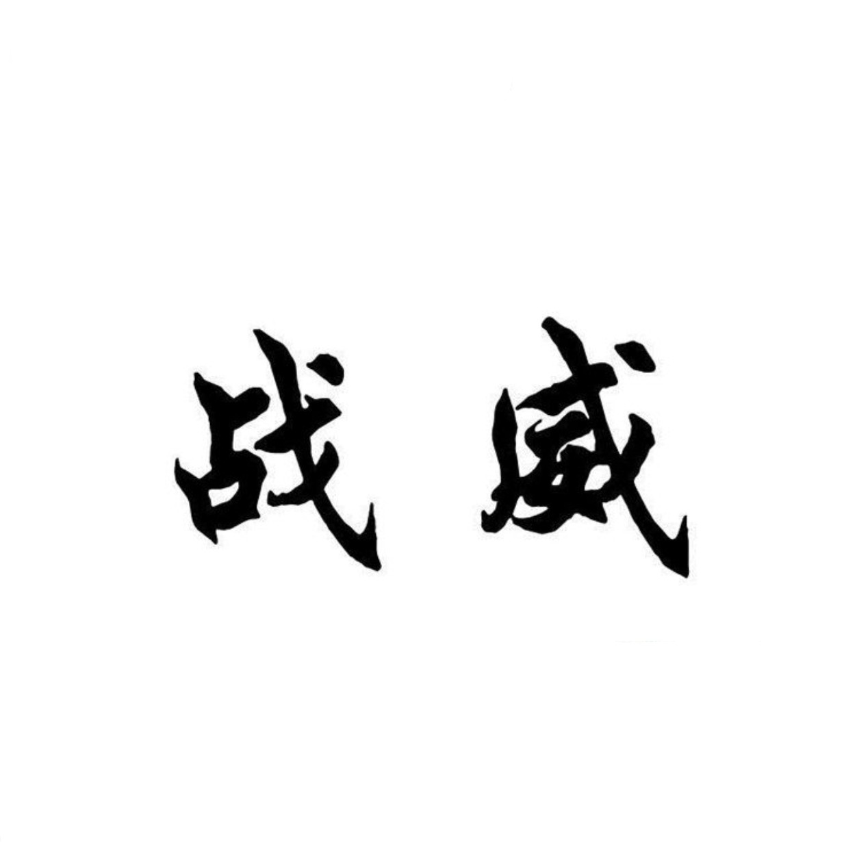 战威迷采箱包厂的LOGO