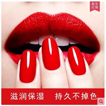 Lexier LAIXUER red wine without makeup lipstick lipstick is not easy to fall off easily