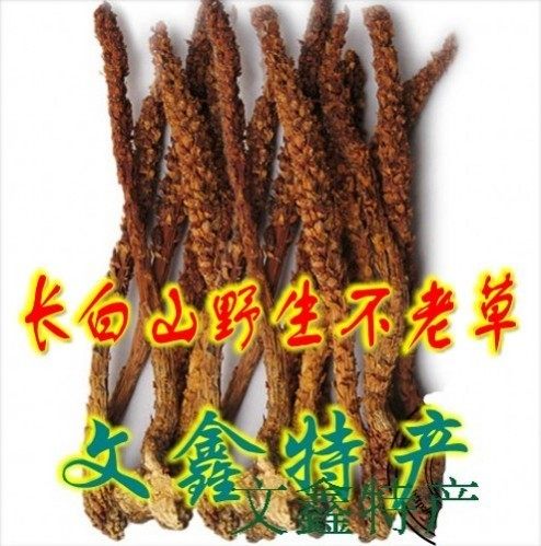 Changbai Mountain evergreen grass Wild green grass Furong Mountain bracts listed as high-quality brewing wine stewed chicken soup