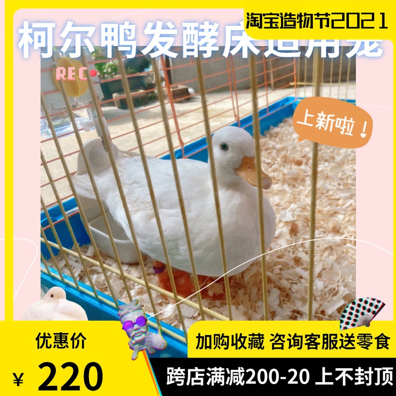 Cole duck cage fermentation bed suitable cage Household large pet supplies Cole duck pet cage Rabbit cage High chassis cage