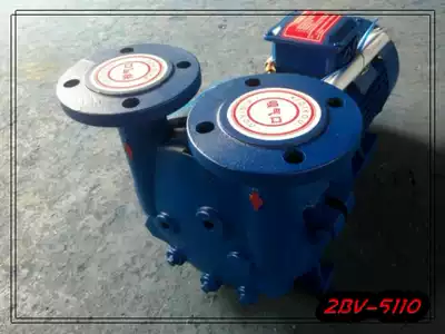 Boshan 2BV water ring vacuum pump 2BV5110 4kw