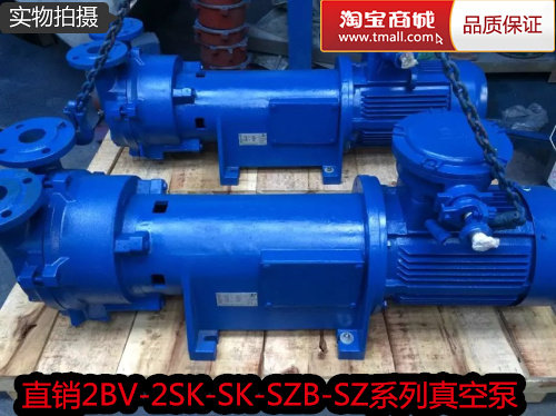 2BV5110 5111 5121 5131 5161 explosive flammable gas bracket type explosion-proof water ring vacuum pump