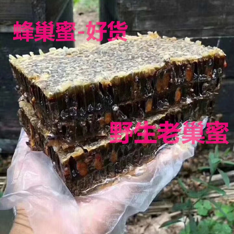 Zhejiang specialty farm directly supplies old nest honey, ecological honey, chewing and eating delicious bumblebee hive honey