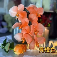 Оранжевый, 480 мл