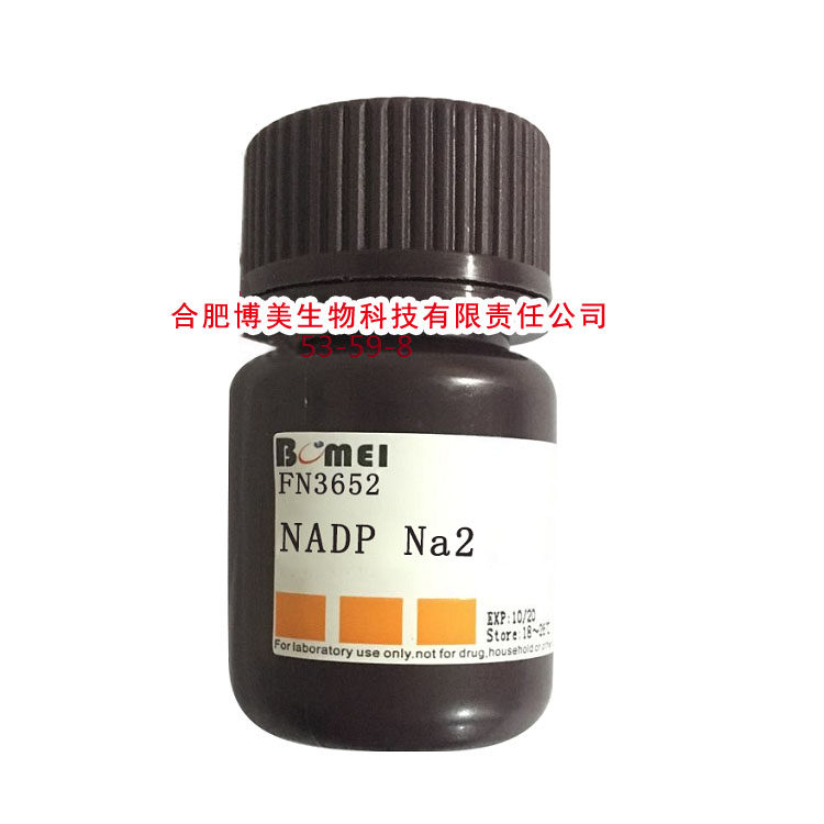 NADP Na2 氧化型辅酶Ⅱ二钠 &ge;98%科研实验试剂24292-60-2 含票