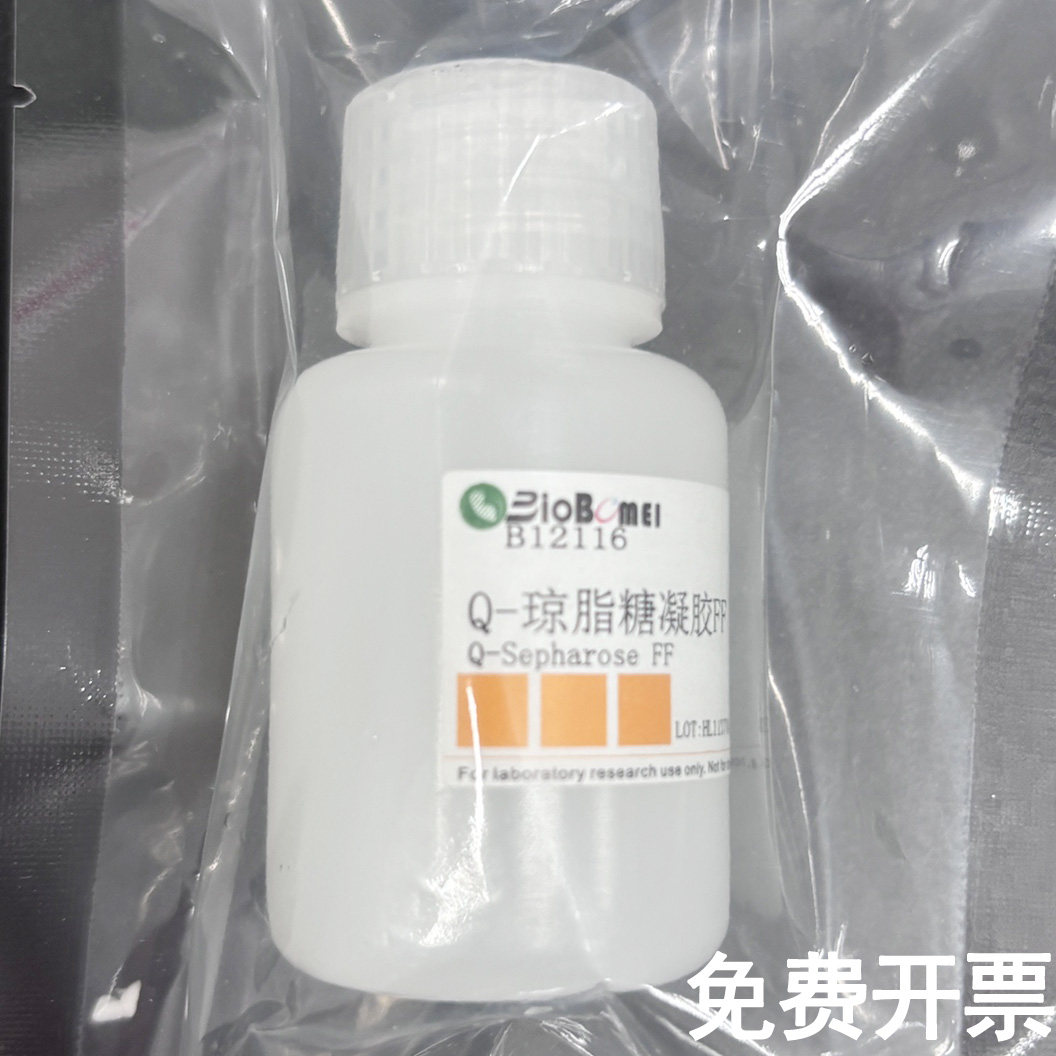 Q-琼脂糖凝胶FF/ Q-Sepharose FF 科研实验试剂 含票25ml 100ml