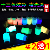 Night running phosphor super bright luminous paint art coating long-acting luminous pigment paint painting fluorescent liquid luminous powder