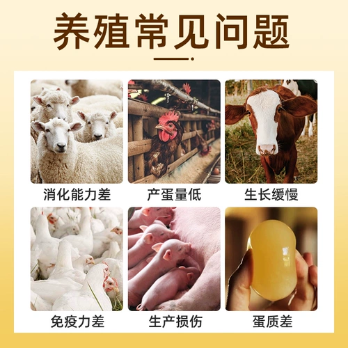 Употребление зверя Скорость масла печени Скорость печени растворенная и концентрированная масла для печени трески мульти -витамин курицы для утки, гуся, свиньи, коров, овец и птицы