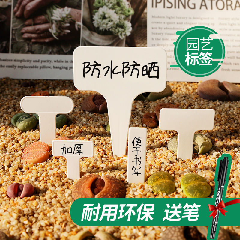 Succulent label T-type card small label artifact gardening plant flower label plastic waterproof mark sign