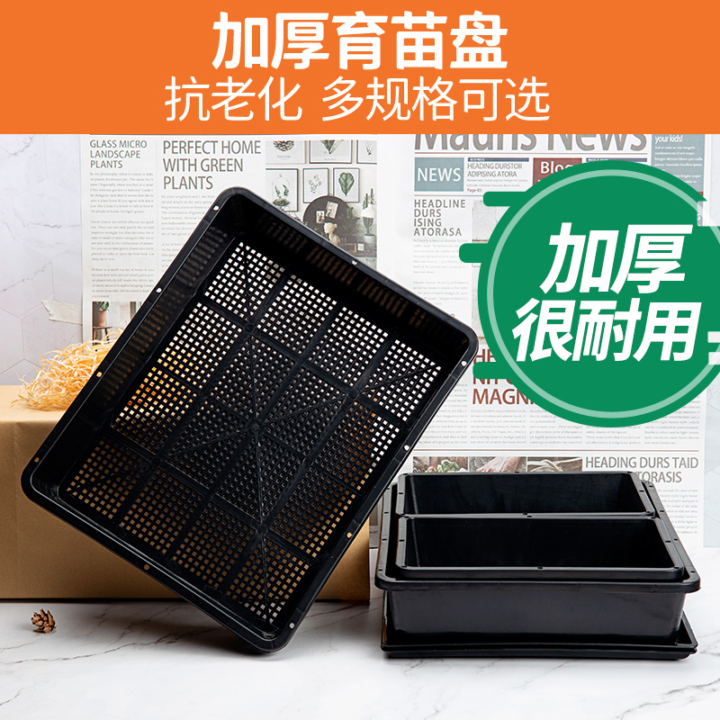 Plastic multi-meat nursery tray small number with lid thickened leaf insert basin seeder nursery tray Smothered Basin Black Square Bay-Taobao