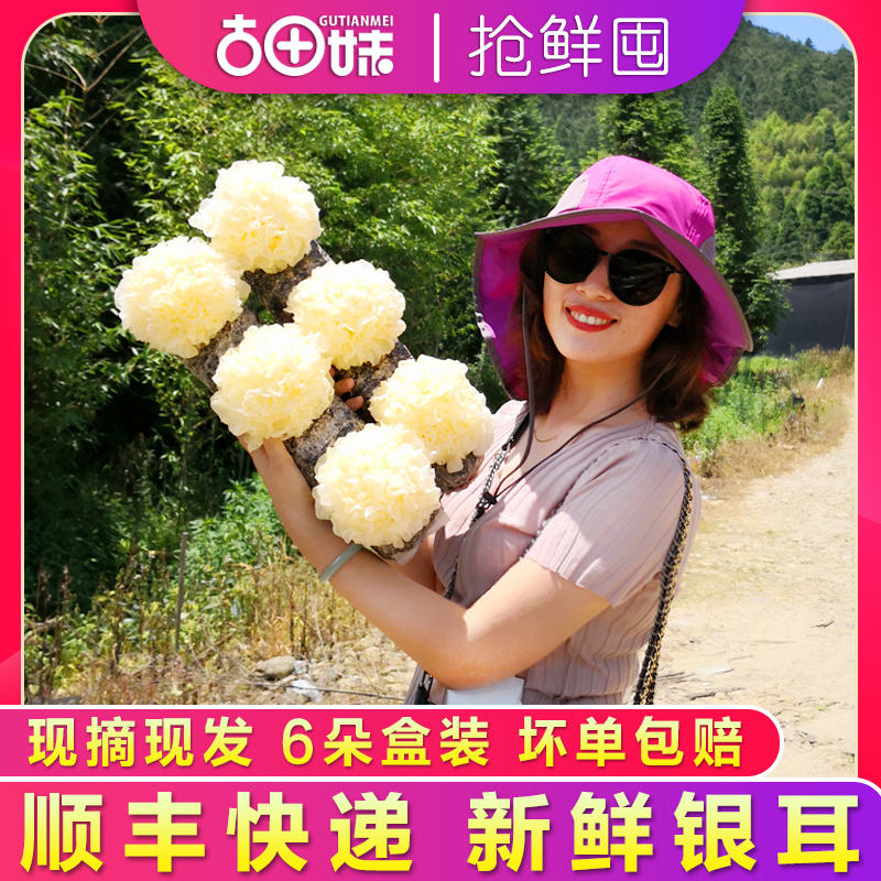 Ancient Tian girl fresh silver ear 6 Dot box with special grade live fresh white fungus Glutinous Snow Ears Non-Dry Goods Silver Ear Lotus Seed Soup