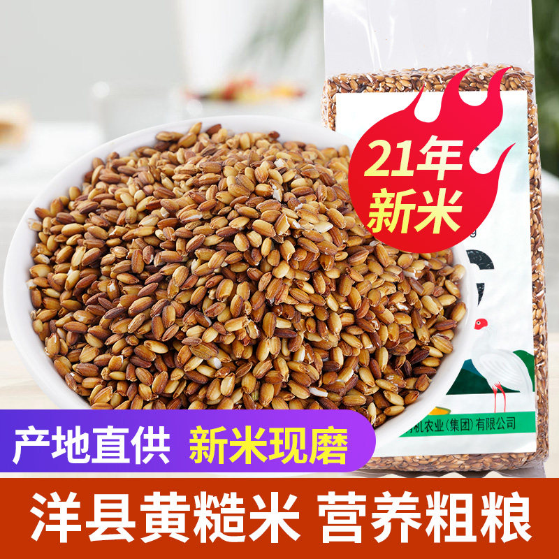 2021 New Miyang County Yellow Mi Zhou Great Black Five cereals Cereals Porridge Rice Mixed Grain Farmhouse Germ Yellow Brown Rice 500g