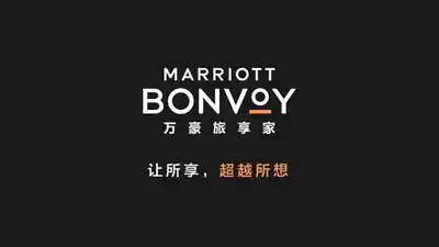 Brush Marriott stay night Starwood spg Platinum card Titanium alloy Ambassador relegation