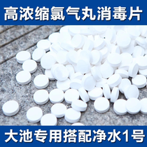 Bath sauna large pool chlorine pills disinfection tablets Swimming pool chlorine pills powder 2 grams of instant effervescent chlorine tablets strong chlorine