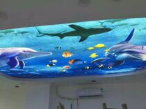 New underwater world uv soft film ceiling light box white film lamp film ceiling light transparent film luminous cloth material