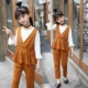 Bộ đồ cho bé gái 4 mẫu mùa thu mới cho bé gái nước ngoài Bộ 3 mẫu cho bé 8 mùa xuân và mùa thu Thời trang trẻ em Hàn Quốc 11 tuổi