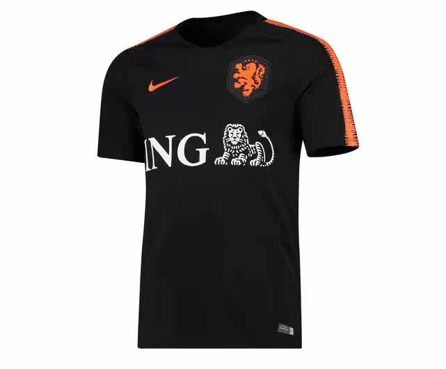2018-19 Netherlands Squad Training Top training short-sleeved shorts NE