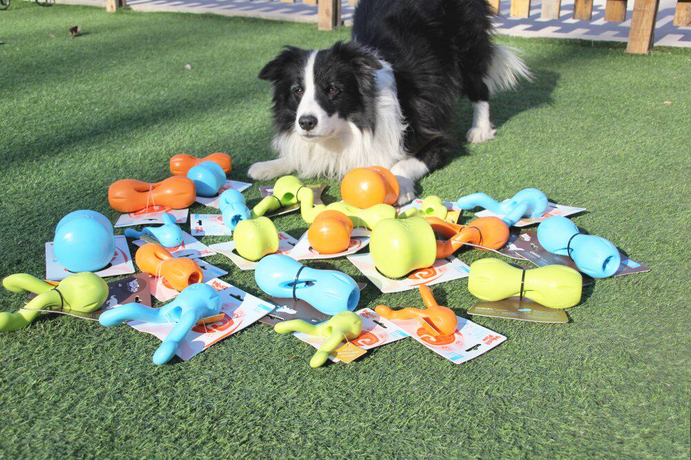 Sela Pets West Paw Western paws Leaky Bowl Dogs Leaky Toys Bite Easy To Clean Dogs Interactive Toys-Taobao