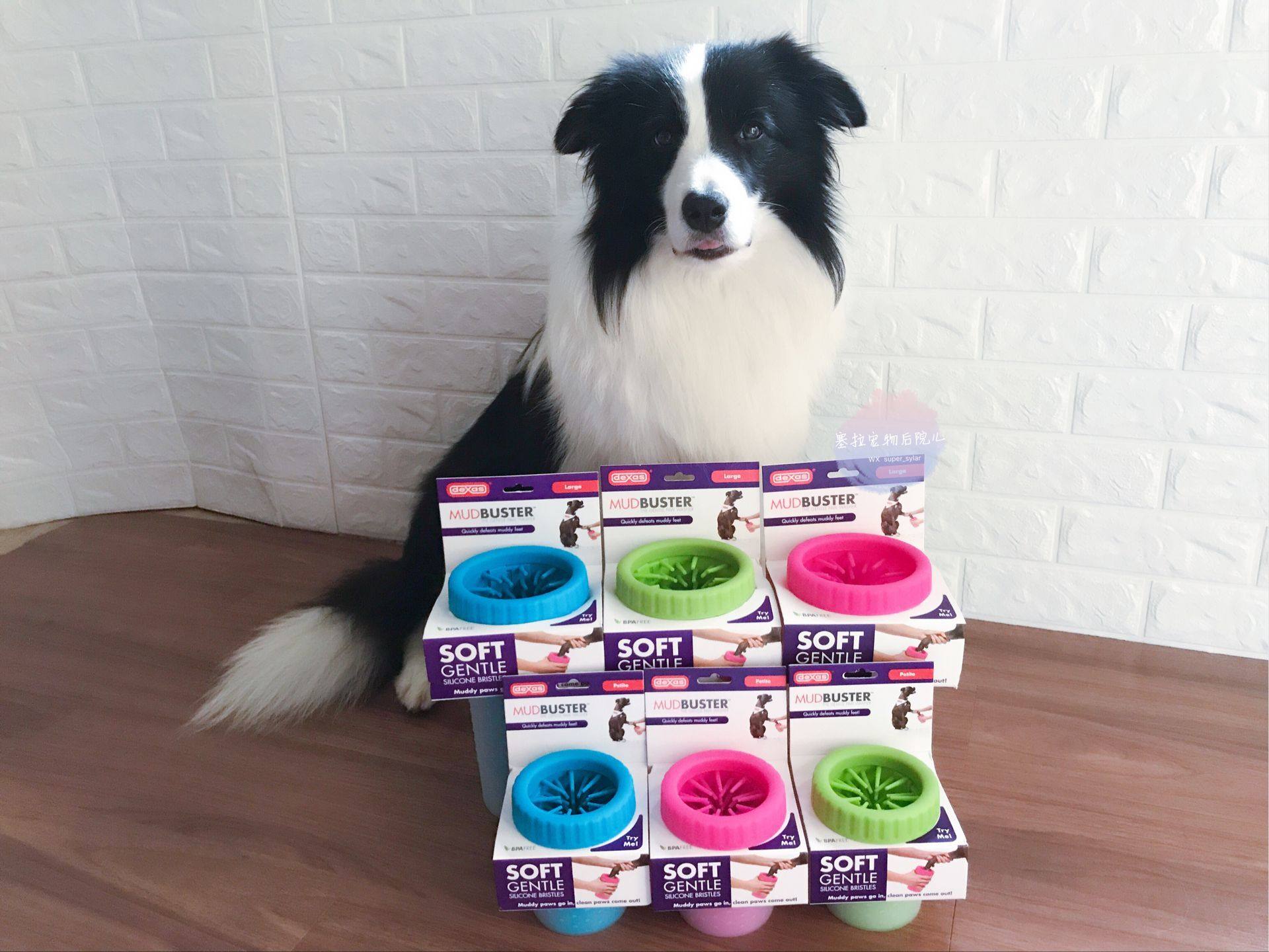 Pet Dog Dog Pooh-pooh-pooh-pooh-pooh-pooh-pooh-pooh-pooh-pooh-pooh-pooh-pooh-pooh-pooh-pooh-pooh-pooh-pooh-pooi-Taobao with the foot-washing machine dog-claw cleaning supplies.