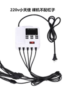 220 В, маленький ангел, 25 обнаженных мышц