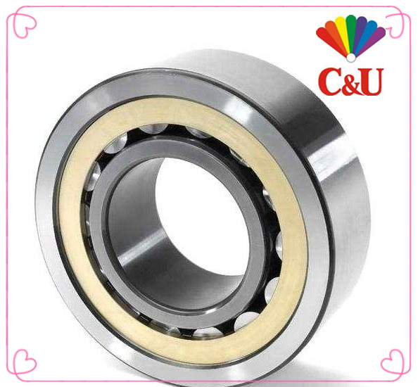CU human cylindrical roller bearing N NJ NU312 313 314 316 317 317 318EM C3