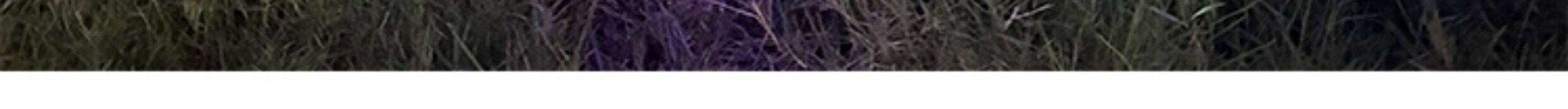 发光走路Q版带轮小号动物立体站立气球儿童生日装饰派对场景布置详情15