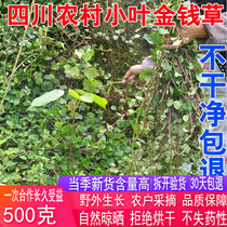 新货正宗小叶金钱草干中药材金钱草茶马蹄金500g