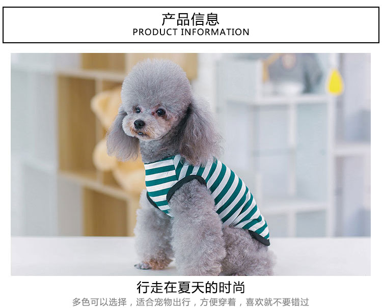 Quần áo thú cưng quần áo chó mùa xuân và mùa hè mỏng phần poodle Bomei chó nhỏ quần áo mèo - Quần áo & phụ kiện thú cưng quan ao cho cho