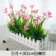 Shiri 30cm Orchid orchid orchid pink