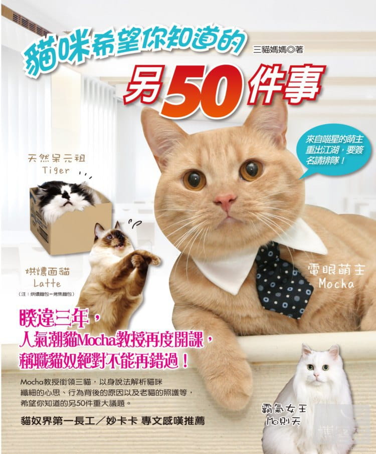 预售三猫妈妈猫咪希望你知道的另50件事猫头鹰原版进口书生活风格