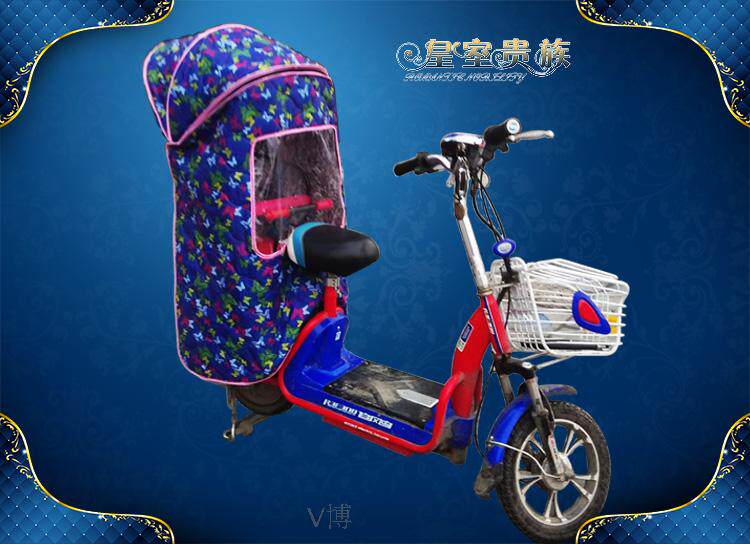 siège enfants pour vélo - Ref 2416487 Image 13