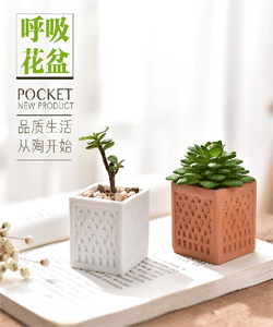 Cung cấp hoa mọng nước cung cấp xẻng hoa bọ cạp ba mảnh mọng nước công cụ kết hợp bộ công cụ - Nguồn cung cấp vườn vòi xịt tăng áp tưới cây