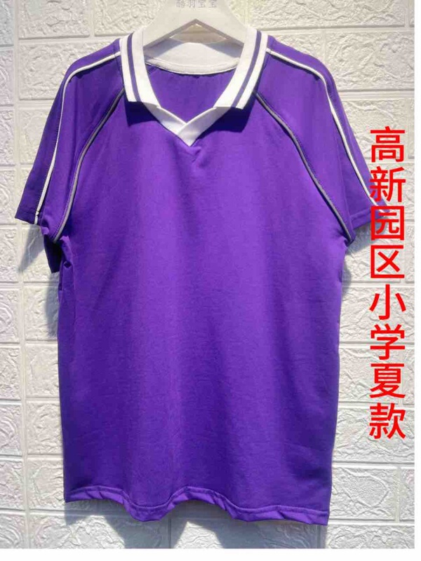 Dalian High-Tech Park Primary School Summer School Uniform Tops and Pants Dalian High-Tech Park Primary School Summer School Uniform Tops and Pants