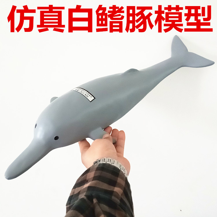 仿真白鳍豚模型 生物教学仪器