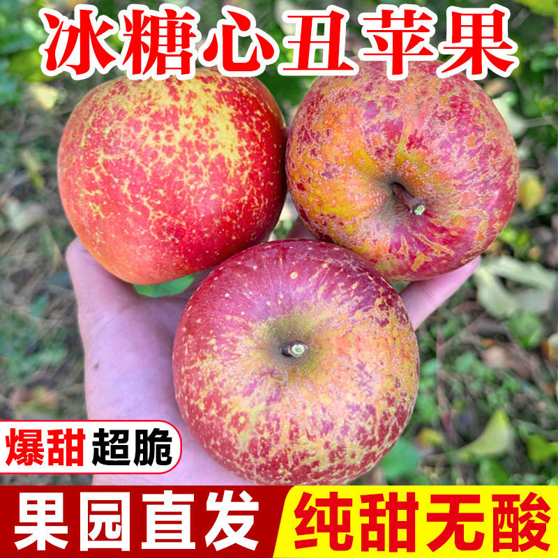 昭通洒渔镇产地直发