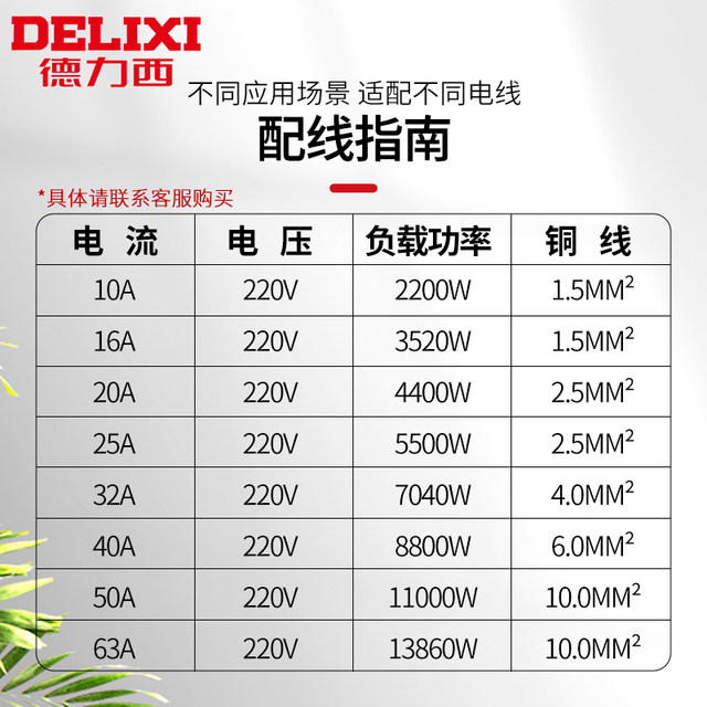 Delixi Dz47Sles Leakage Protector 2P Household 220V Leakage Circuit Breaker Air Switch Small Size 63