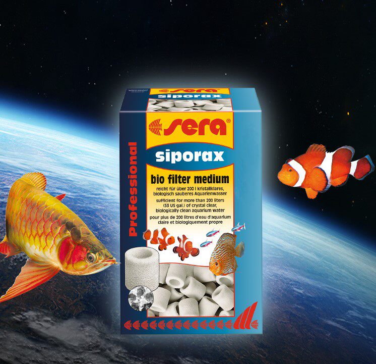 Sherry Glass Ring New German Imported Aquatic Flora Flora Filter Material Ihan Ceramic Ring Quartz Ball