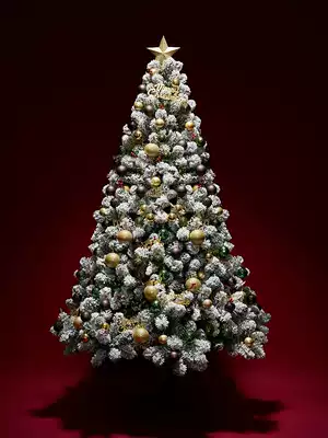 Father-in-law 1 5 meters 1 8 meters 2 1 meters flocking Christmas tree encryption environmental protection flame retardant artificial snowflake landscape decoration tree