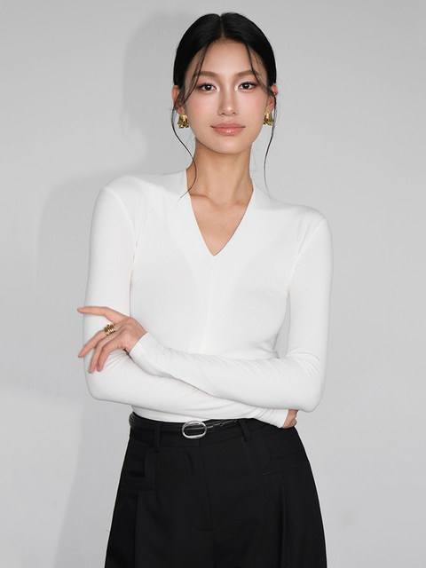 Solid Color V-Neck Long-Sleeve Base Shirt for Women, New Spring and Autumn Style, High-End, Slim-Fitting, Elegant, Versatile T-Shirt Top