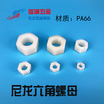 M2-M12 hexagon nut plastic screw nut metric nylon plastic insulation 1000 only