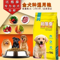 Bigtay dog food Teddy Golden Labrador Husky beef puppy food 10kg20kg 22 provinces