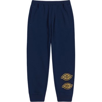 Dickies 21 winter boys and girls terry casual sweatpants children's wear pants