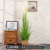 1,5 м травы тростника+корзина первичного цвета