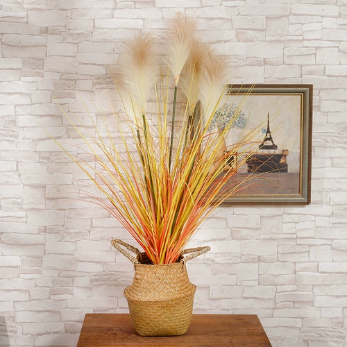 Северная симуляция растения тростники фальшивая травяная трава.