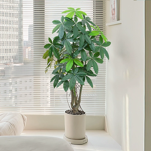 Большое масштаб -моделирование зеленые растения дерево габафтир бионическое горшок горшок с популярным растением гостиная.